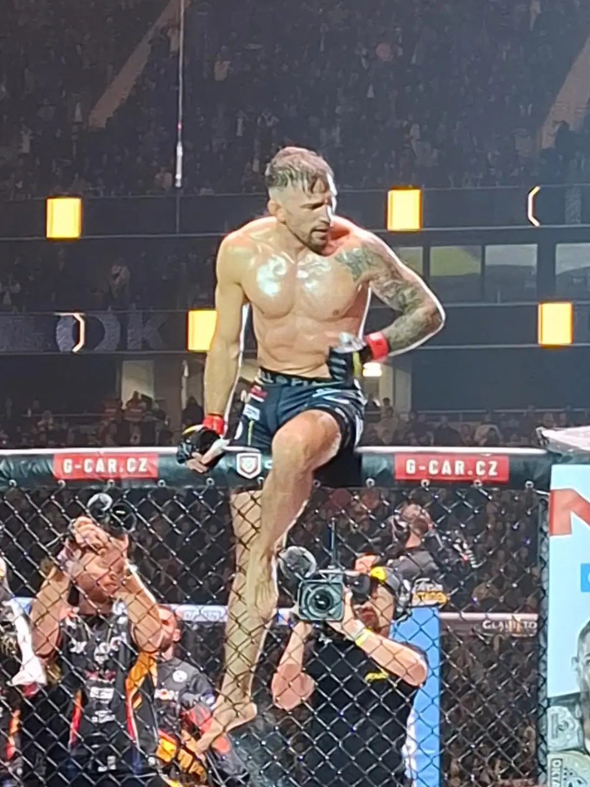 Bild zu: "Irre MMA-Szene bei Coga-Sieg in Frankfurt"