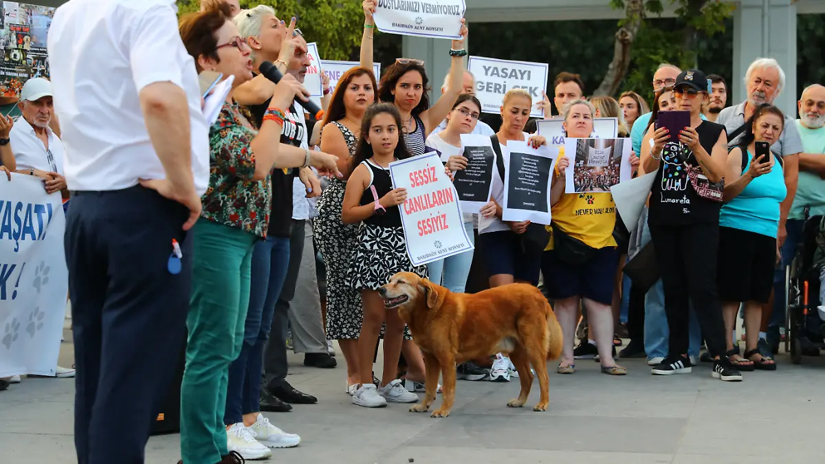 Türkische Tierschützer während einer Demonstration zum Schutz streunender Hunde und Katzen am 30. Juli 2024 in Istanbul.