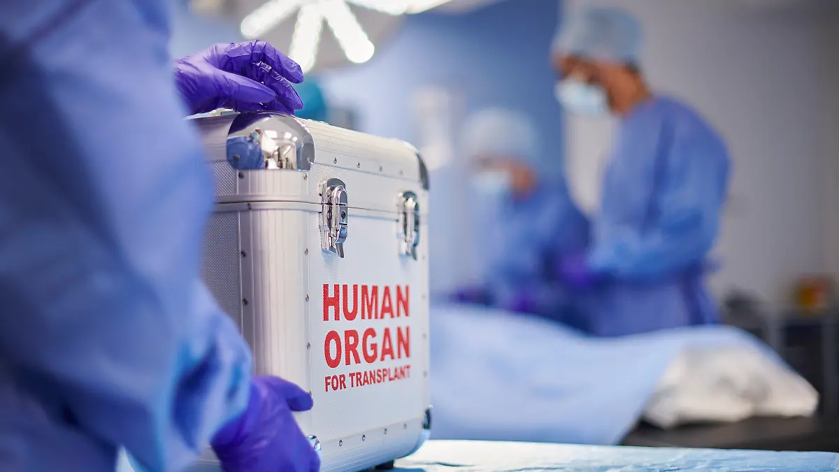 Ein Team bei der Organtransplantations-OP.