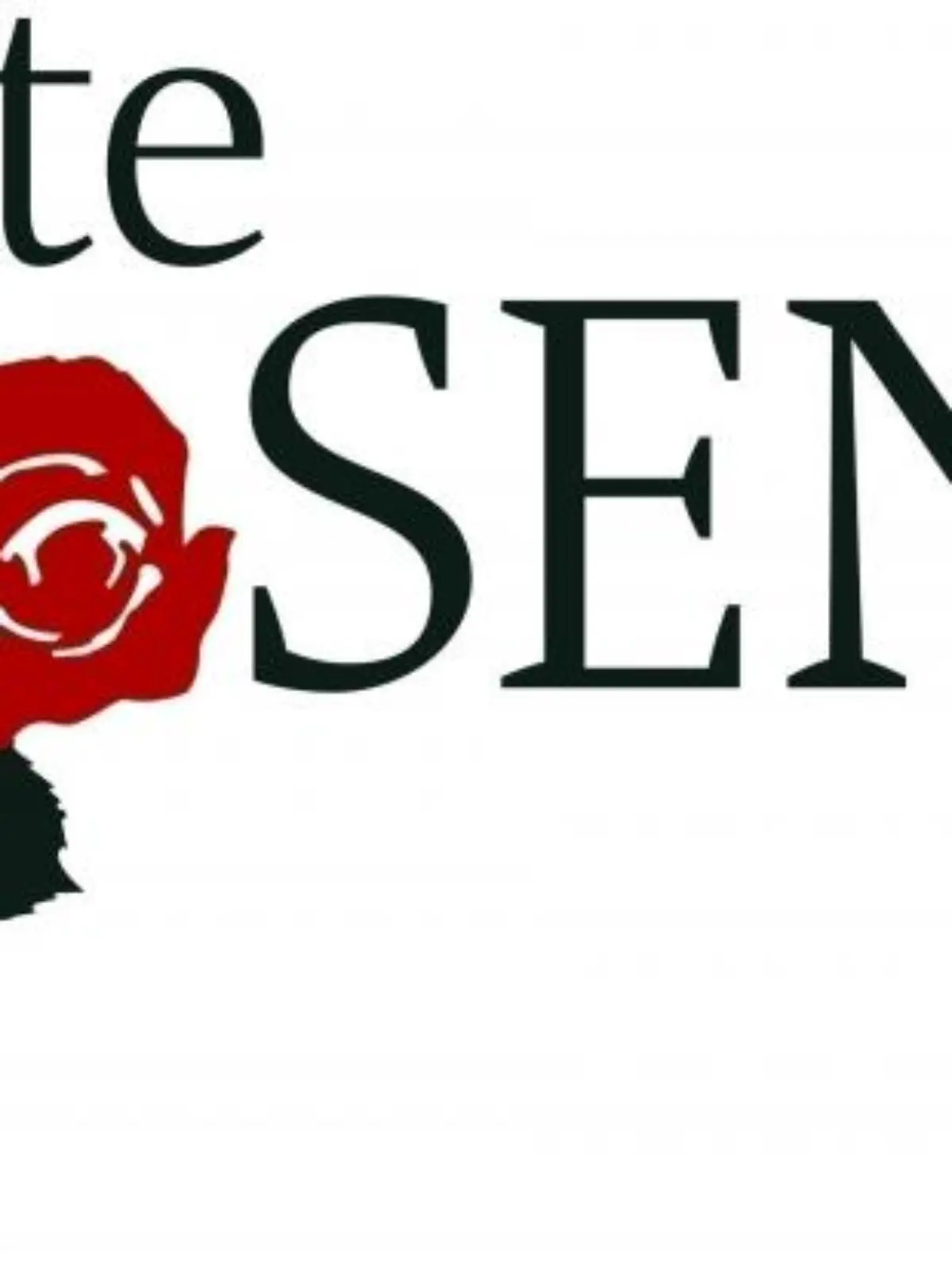 Rote Rosen