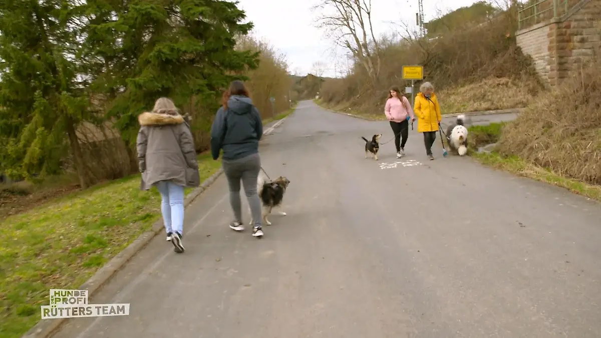 Hündin Lola rüpelt was das Zeug hält Der Hundeprofi - Rütters Team