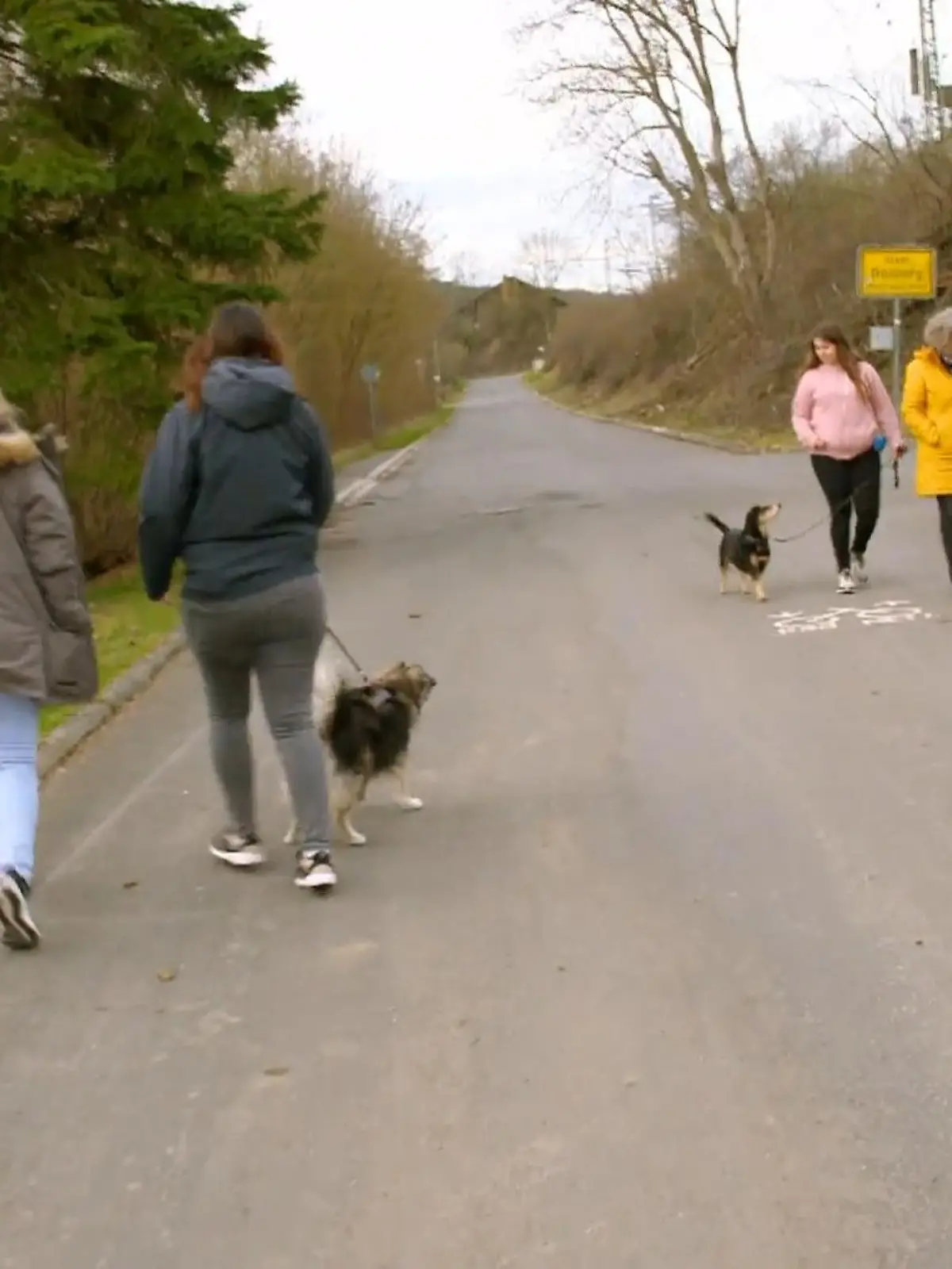 Bild zu: "Hündin Lola rüpelt was das Zeug hält"