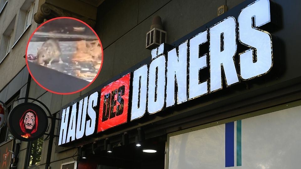 Skandal um „Haus des Döners”! Nagetier knabbert am Fleisch