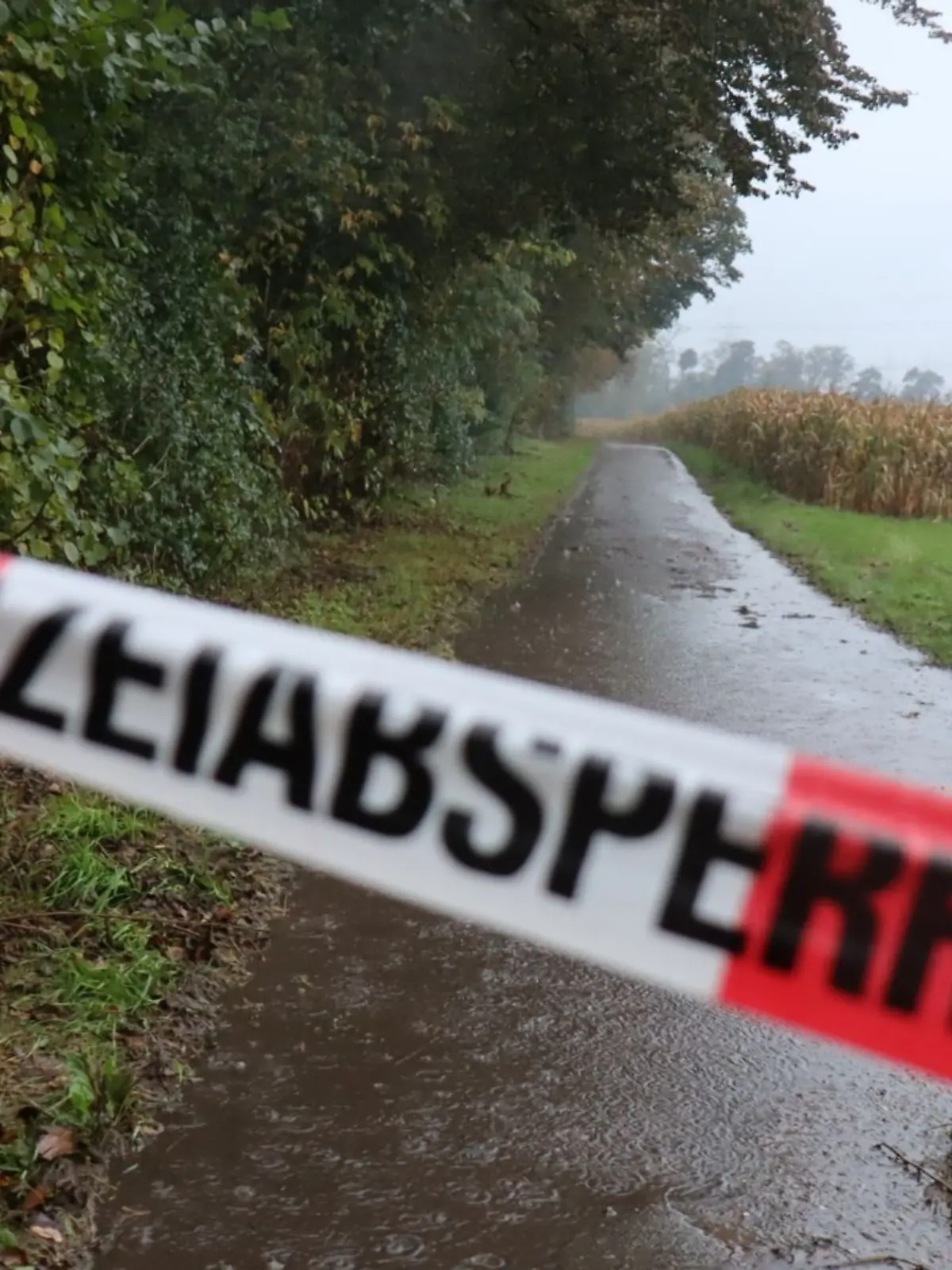 Bild zu: "„Das Bild hat sich in meinem Kopf eingebrannt”"