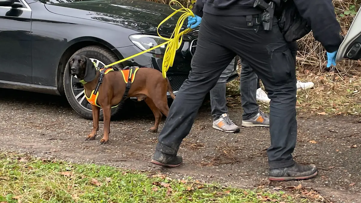 Personenspürhund Paul am Fundort der Leiche.