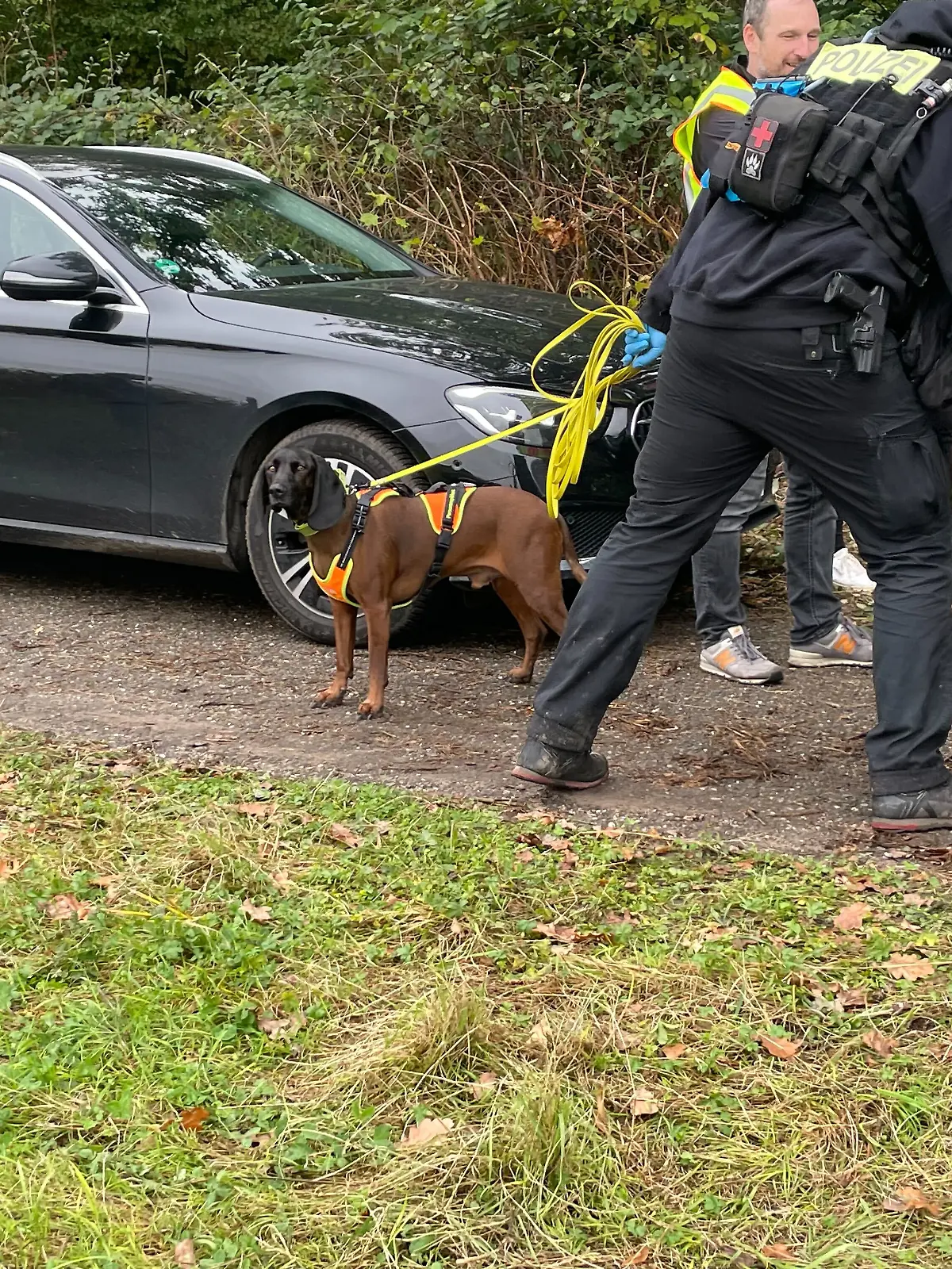 Personenspürhund Paul am Fundort der Leiche.