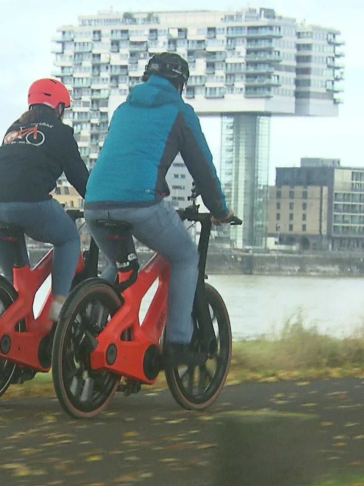 Bild zu: "Fahrrad aus Kunststoff - Reportertest"