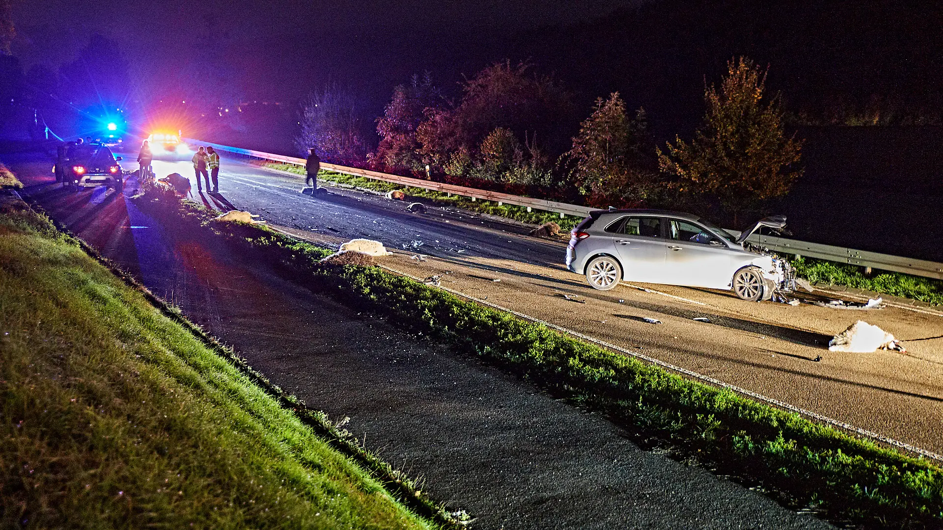 Die Unfallstelle auf der Bundesstraße 19 zwischen Königsbronn und Aalen-Oberkochen ist von der Polizei abgesperrt. In tiefer Dunkelheit ist ein Fahrzeuglenker mit seinem Auto in eine freilaufende Schafherde gerast. Bei dem Unfall am späten Mittwochabend seien 13 Schafe noch am Ort des Unglücks verendet, teilte die Polizei vor Ort mit.
