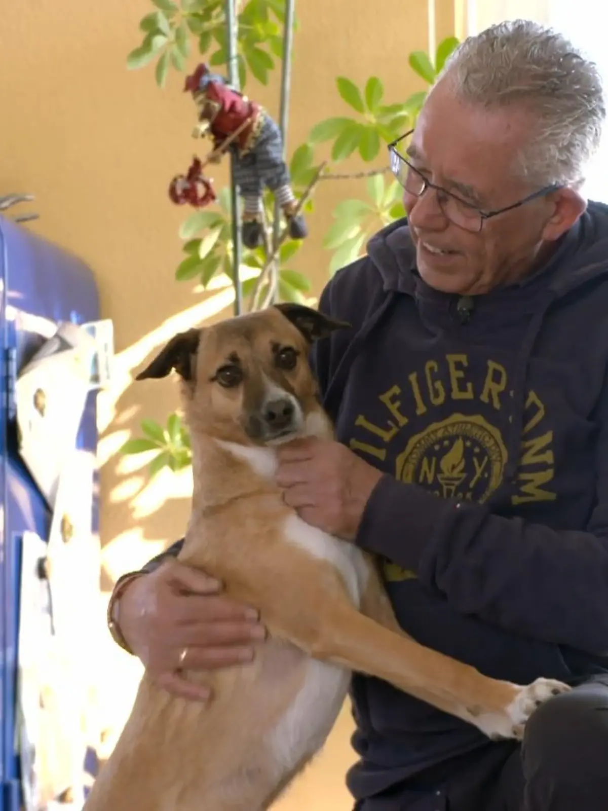 Bild zu: "Rico findet Menschen komisch"