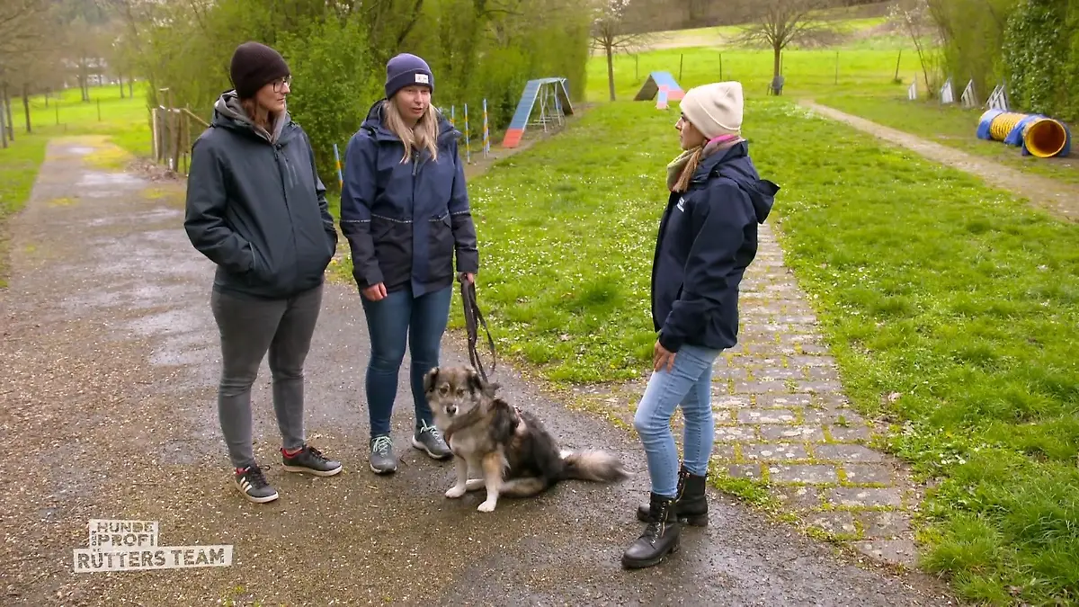 Lolas verhalten nach dem Training Verändert?