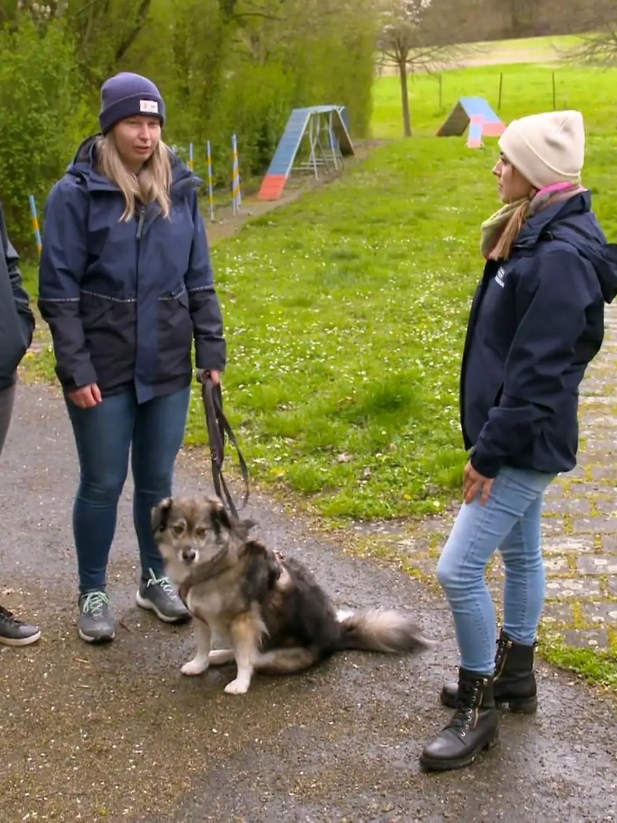 Bild zu: "Lolas verhalten nach dem Training"
