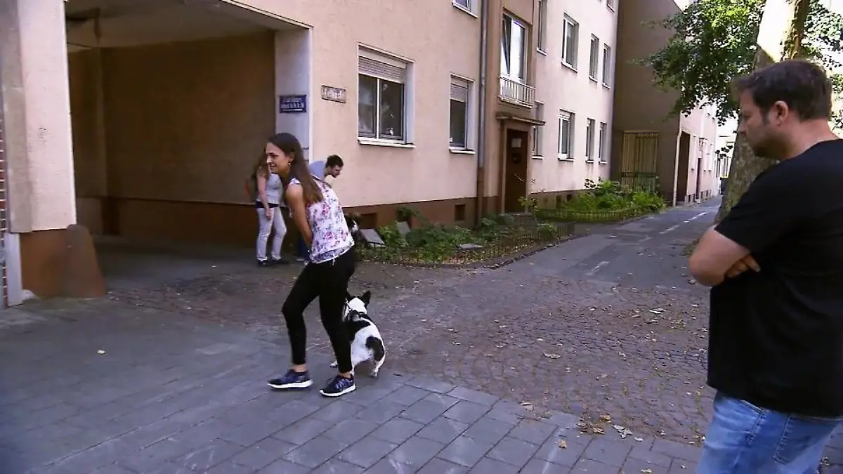 Django macht einen auf "dicke Hose" Frauchen Maren ist hilflos