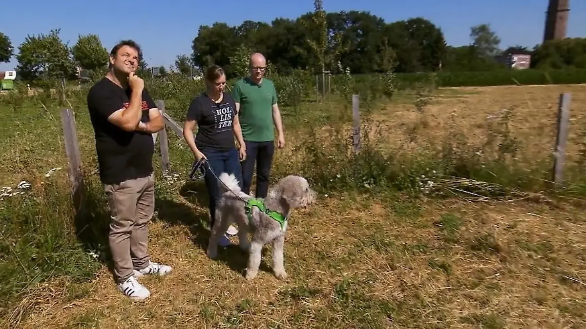 Woher kommt der Tick bei Anton? Zwanghaftes Verhalten