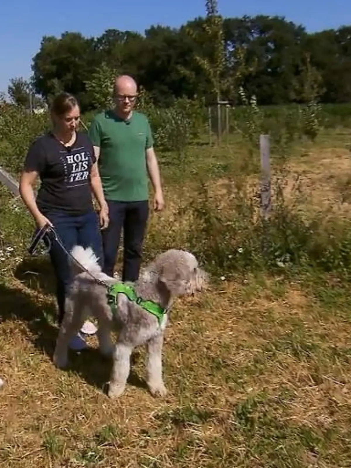 Bild zu: "Woher kommt der Tick bei Anton?"