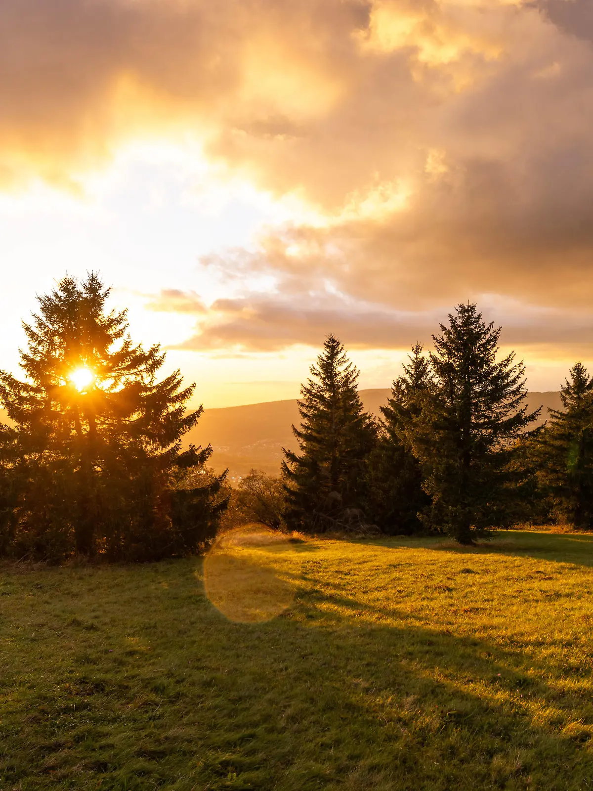News Bilder des Tages Abendstimmung in der Rhön Die Abendsonne scheint bei einem Regenschauer auf die Landschaft am Kreuzberg in der bayerischen Rhön., Bischofsheim in der Rhön Bayern Deutschland *** Evening mood in the Rhön The evening sun shines on the landscape on the Kreuzberg in the Bavarian Rhön, Bischofsheim in der Rhön Bavaria Germany