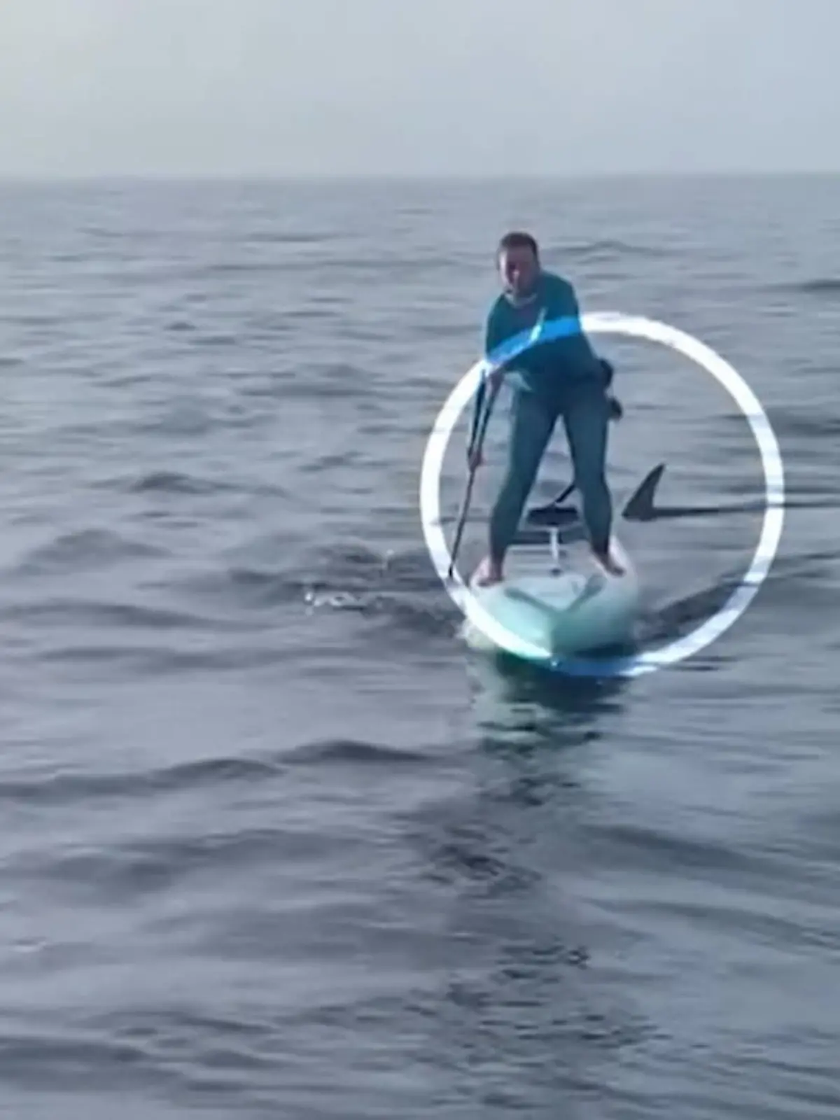 Es sollte ein Trip für den guten Zweck werden! Malea Tribble steht auf ihrem Board und paddelt über das Meer. Plötzlich wird ihr Mann auf einem Boot in der Nähe unruhig. Denn hinter Malea taucht plötzlich ein Hai auf! Wie diese Begegnung ausging, verraten wir im Video.