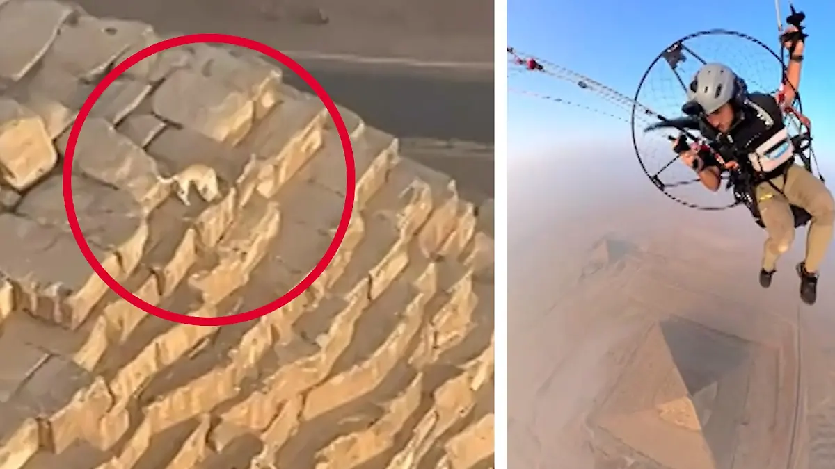 Ist das Anubis? Hund erklimmt Pyramiden von Gizeh Paraglider entdeckt Tier auf Weltwunder