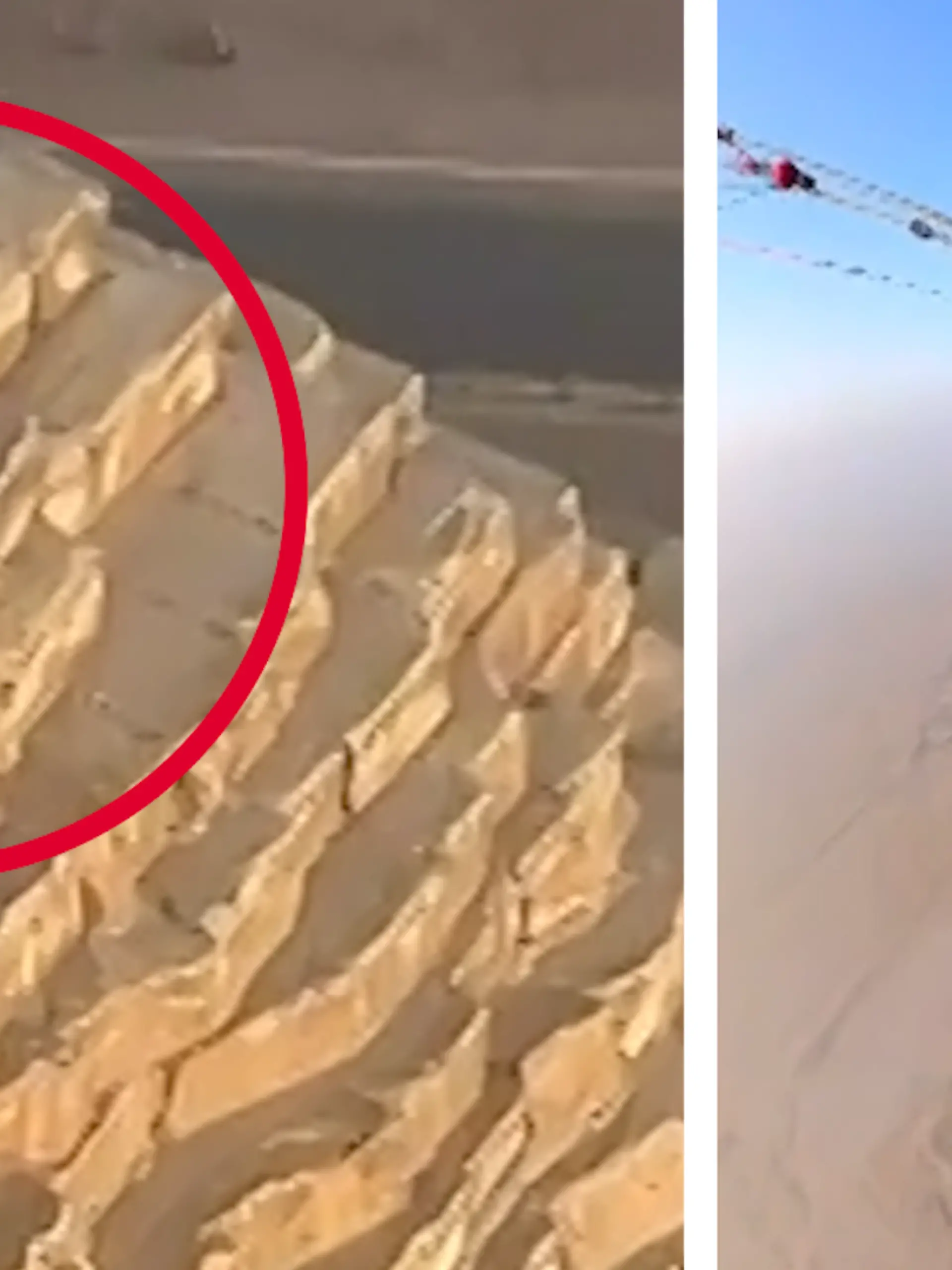 Bild zu: "Ist das Anubis? Hund besteigt Pyramiden von Gizeh"