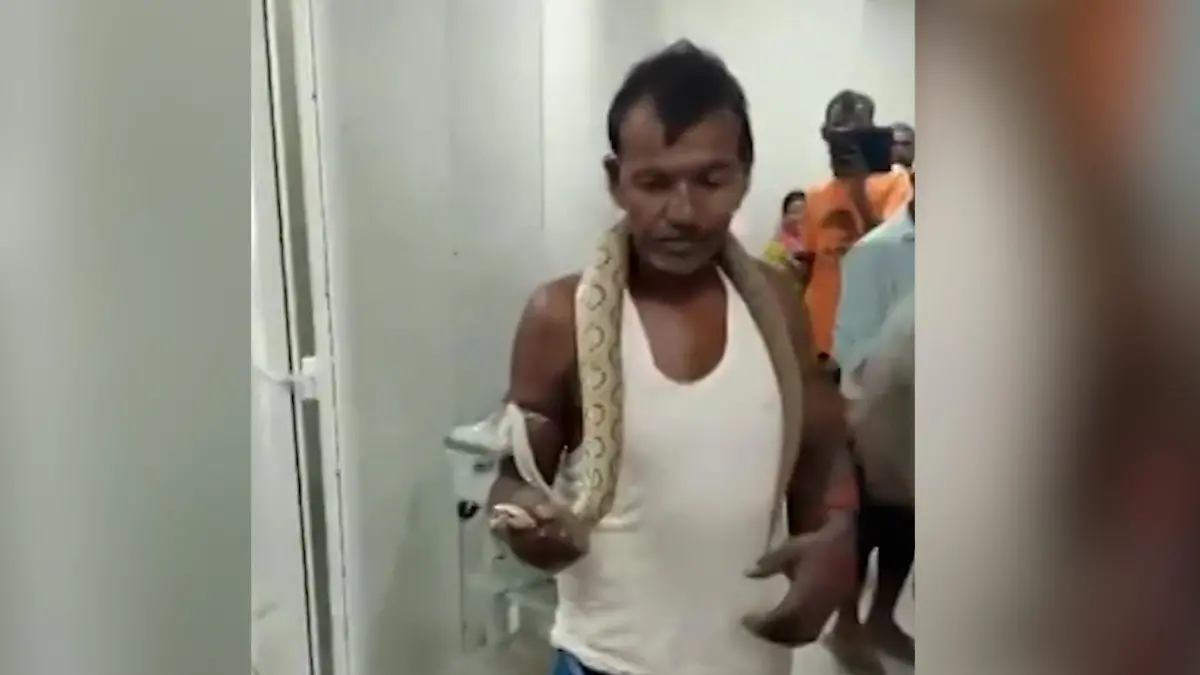 Mann nimmt Giftschlange mit ins Krankenhaus Nachdem sie ihn gebissen hat!