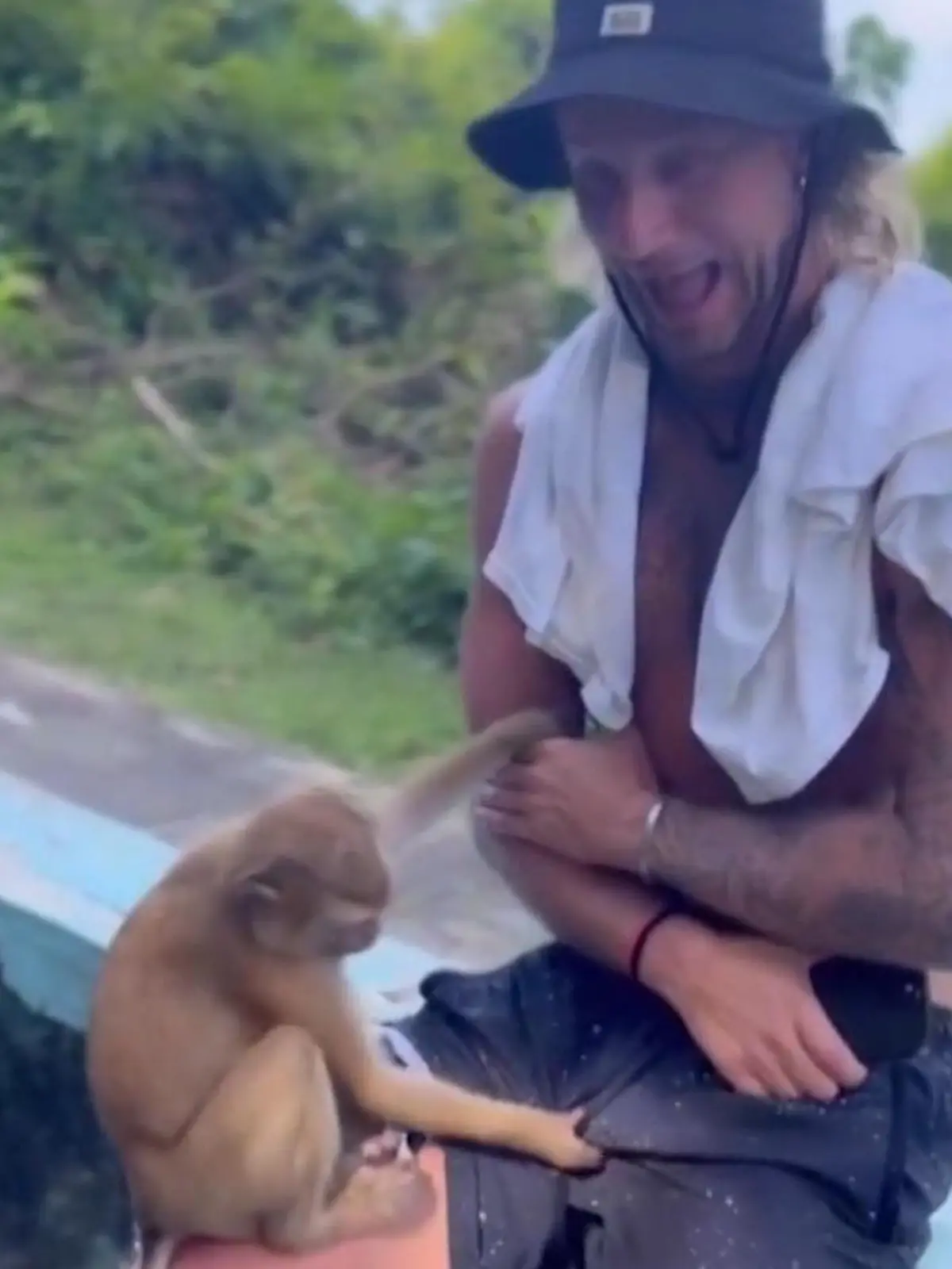 Bild zu: "Gib mir deine Banane! Affe geht Touri in Thailand auf den Sack"