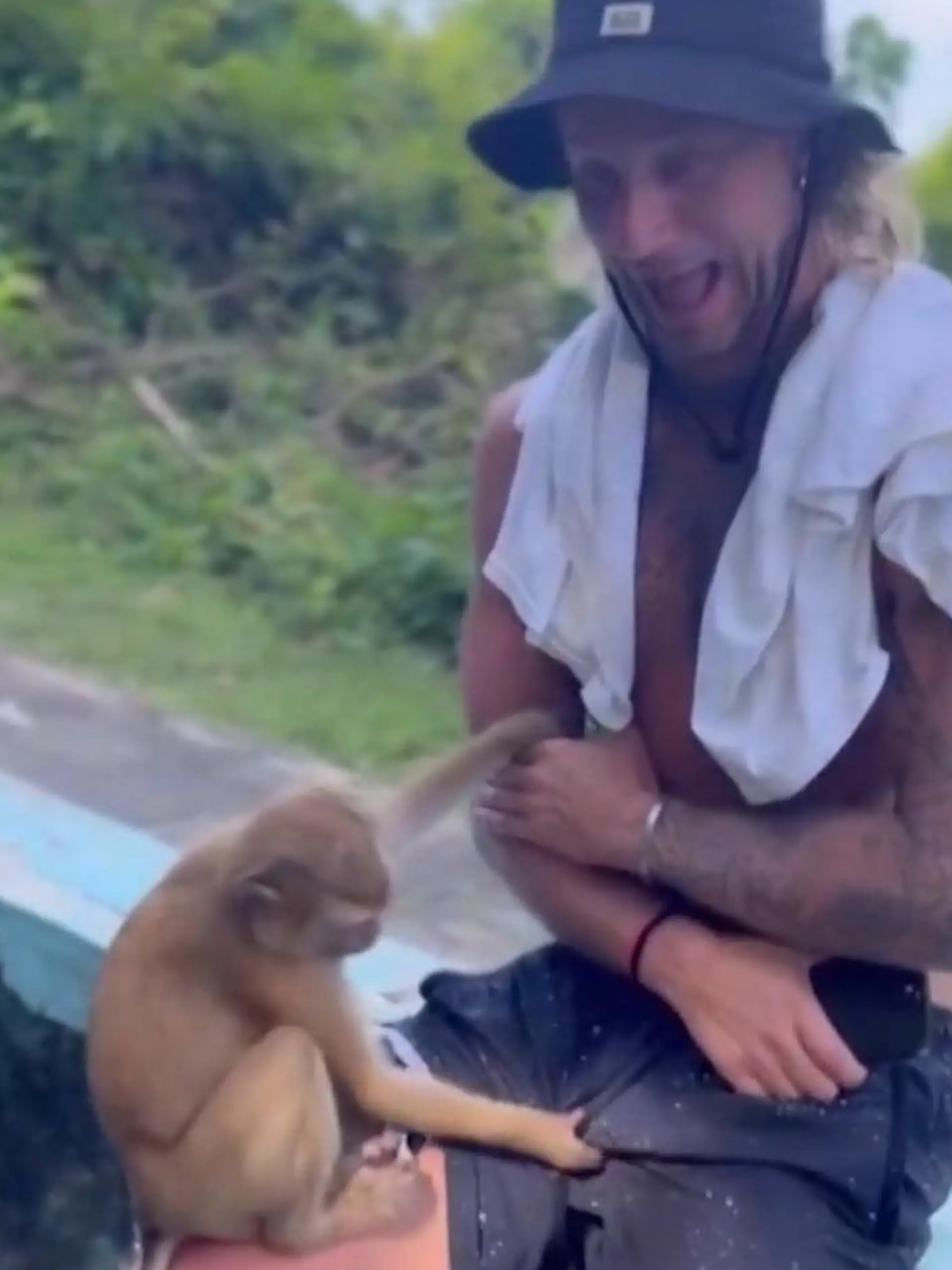 Bild zu: "Gib mir deine Banane! Affe geht Touri in Thailand auf den Sack"