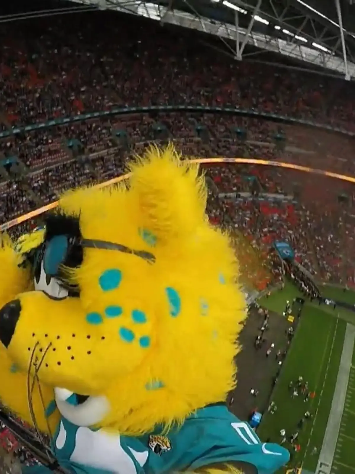 Bild zu: "Jaguars-Maskottchen springt vom Stadiondach"