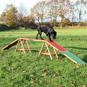 Dog-Activity-Agility-Steg von Trixie
