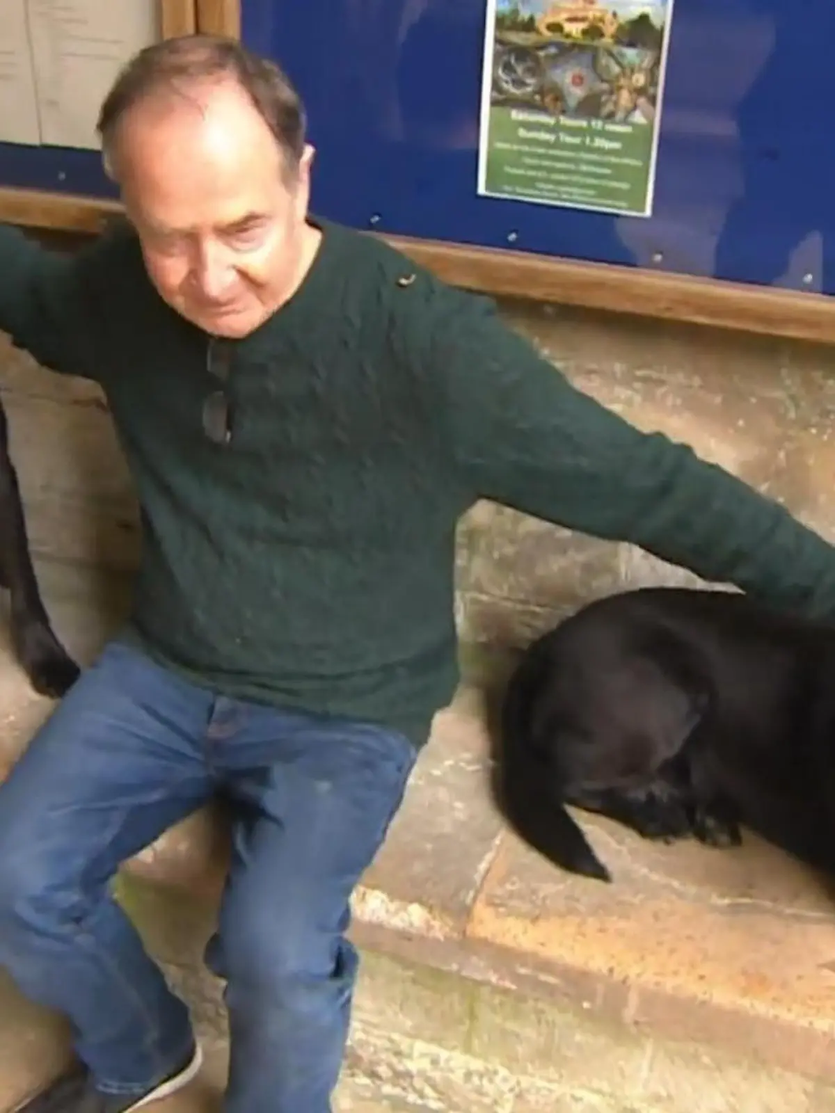 Wer die Tewkesbury Abbey im britischen Gloucestershire betritt, wird von zwei ganz besonderen Mitarbeitern begrüßt – den Labradoren Eric und Flo.