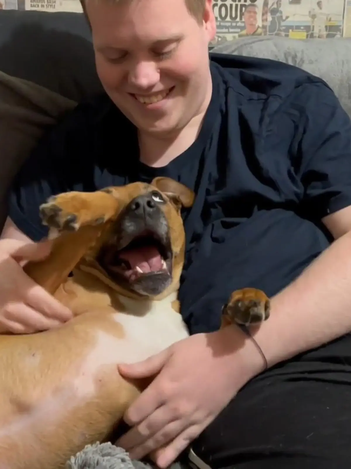 Lachen ist ja bekanntlich gesund. Für den Menschen allemal, für unsere liebsten Haustiere bestimmt auch. Zumindest klingt die Hündin in unserem Video als könnte es ihr nicht besser gehen, so herzlich wie sie vor sich hinkichert. Angeblich können Hunde ja nicht lachen, doch diese Fellnase beweist uns ganz cool das Gegenteil. Wie es klingt, wenn ein Hund herzlich kichert, hören Sie im Video.