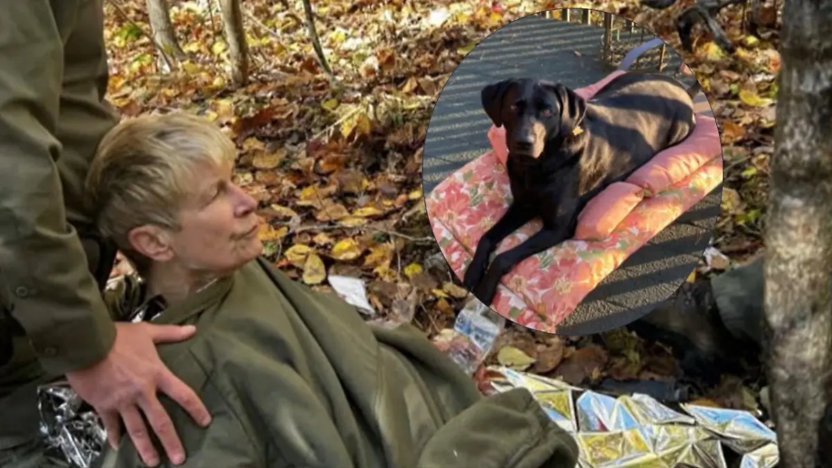 Pamela (72) überlebt vier Tage im Wald – dank ihres Hundes!