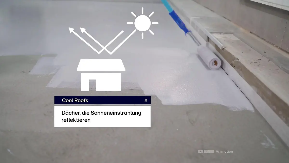 Cool Roof - so halten Dächer alles cool Die neuen Dächer