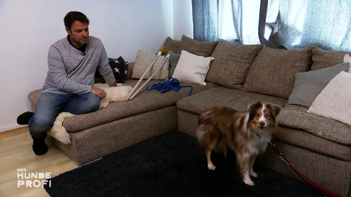 Martin Rütter vor einer Herausforderung "Milow" blockiert