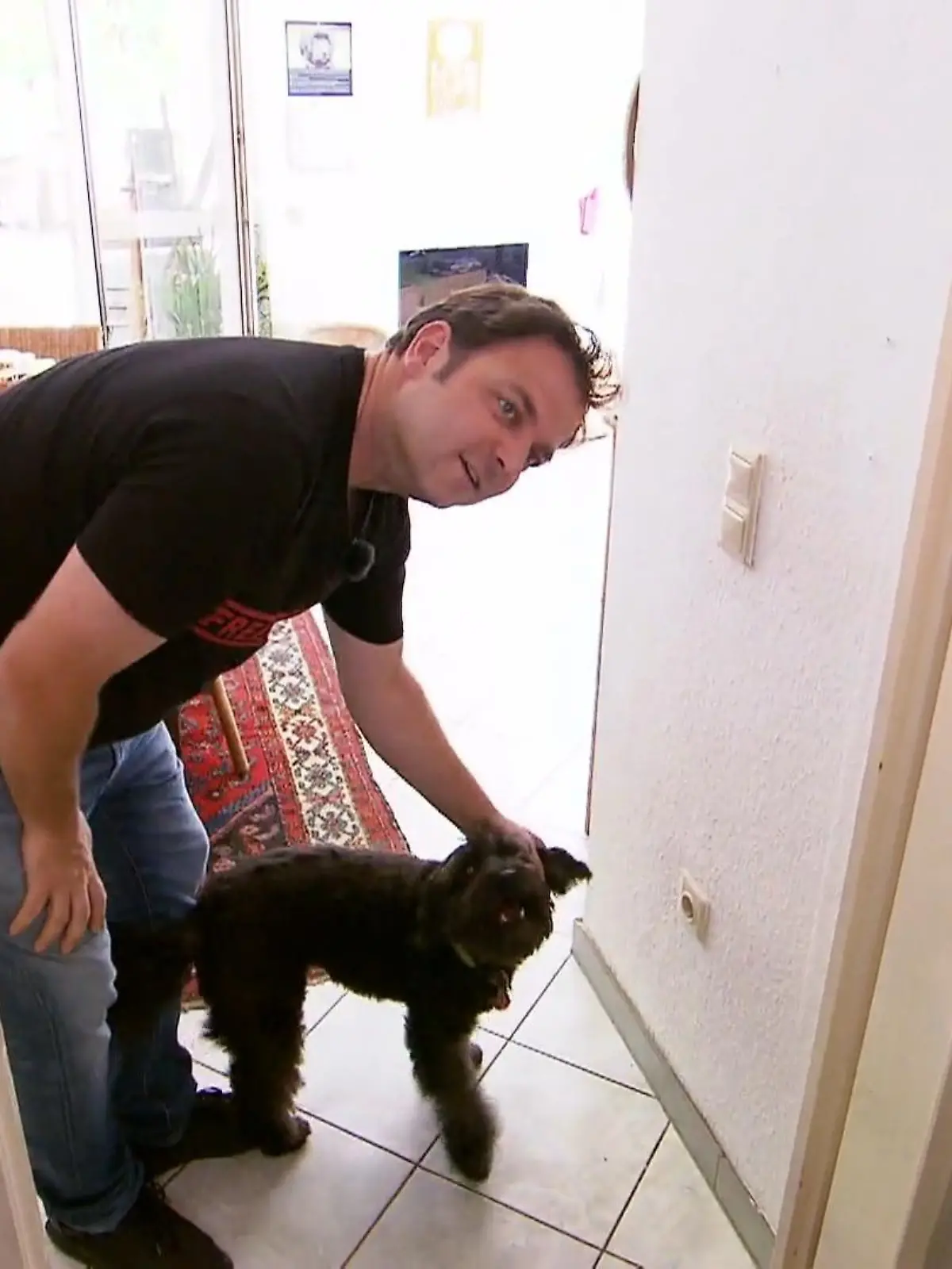 Bild zu: "Martin Rütter trifft alte Bekannte"