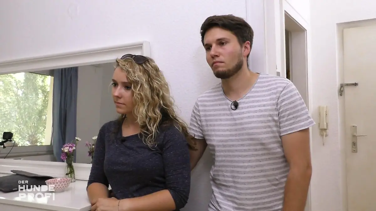 Wird auch Rüde Milow das verstehen? "Nicht relevant"