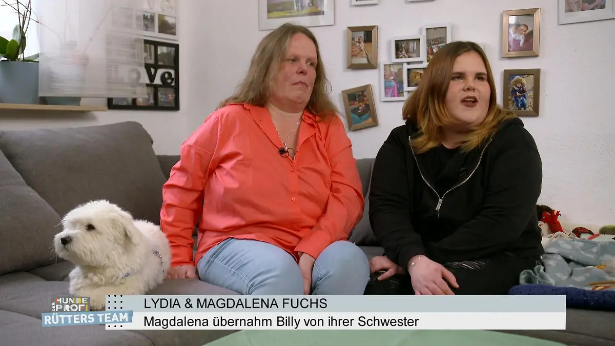 Der kleine Malteser sorgt für große Probleme Billy, der Tyrann