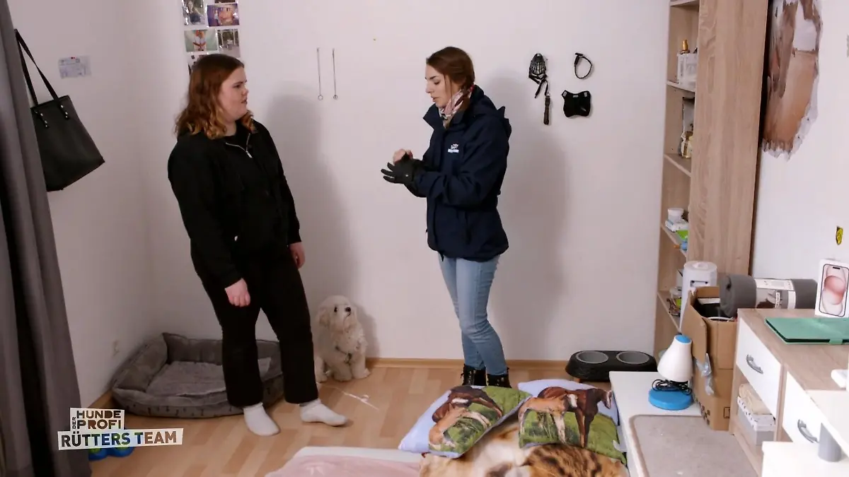 Mit bissfesten Handschuhen gegen Billy Profi Sophie greift ein