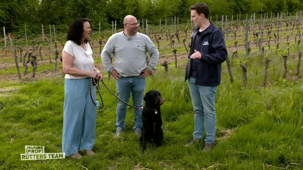 Hundeprofi Marcel Wunderlich gibt Nachhilfe Blauer Brief für Milo