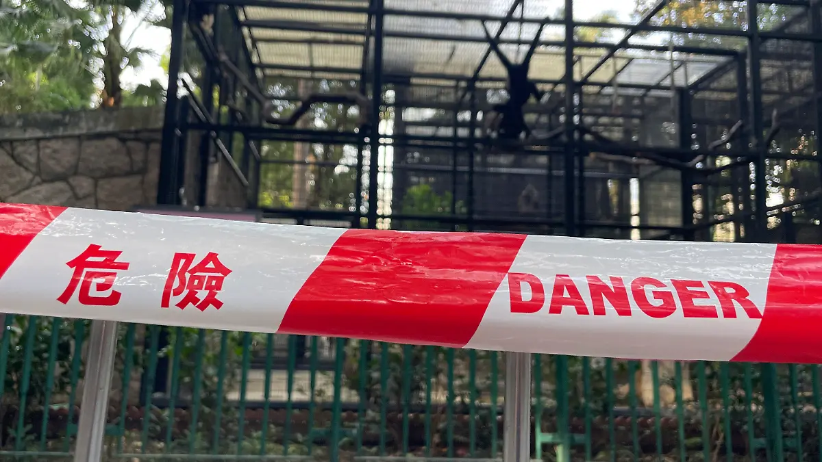 Nach dem Tod mehrerer Affen im zoologischen und botanischen Garten von Hongkong wird eine Absperrung mit der Aufschrift „Gefahr” um das Affengehege errichtet.