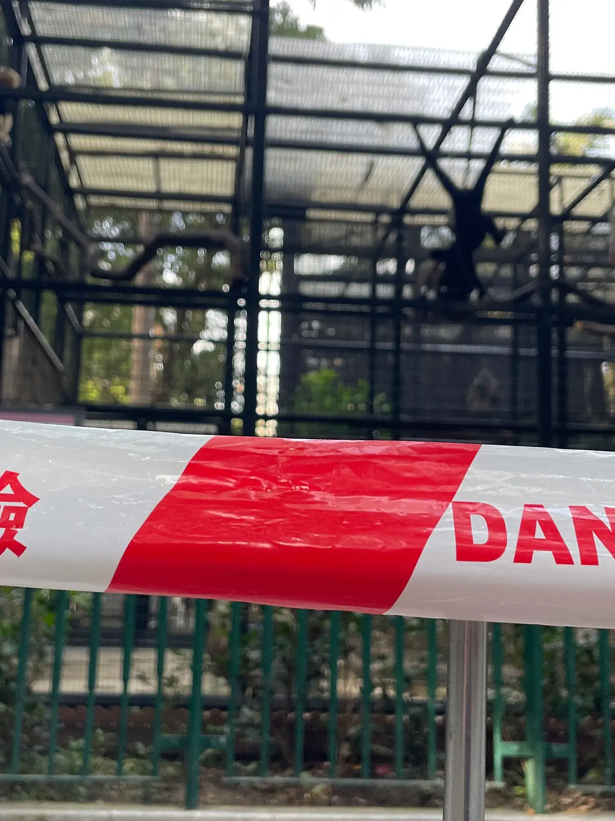 Nach dem Tod mehrerer Affen im zoologischen und botanischen Garten von Hongkong wird eine Absperrung mit der Aufschrift „Gefahr” um das Affengehege errichtet.