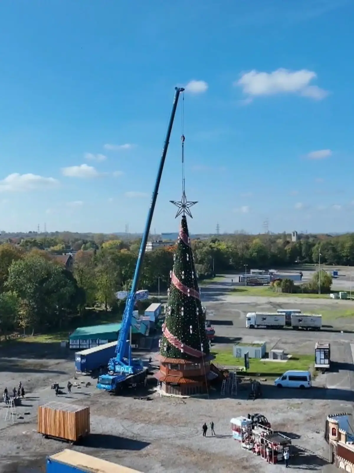Bild zu: "Weihnachtsbaum in Crange steht"