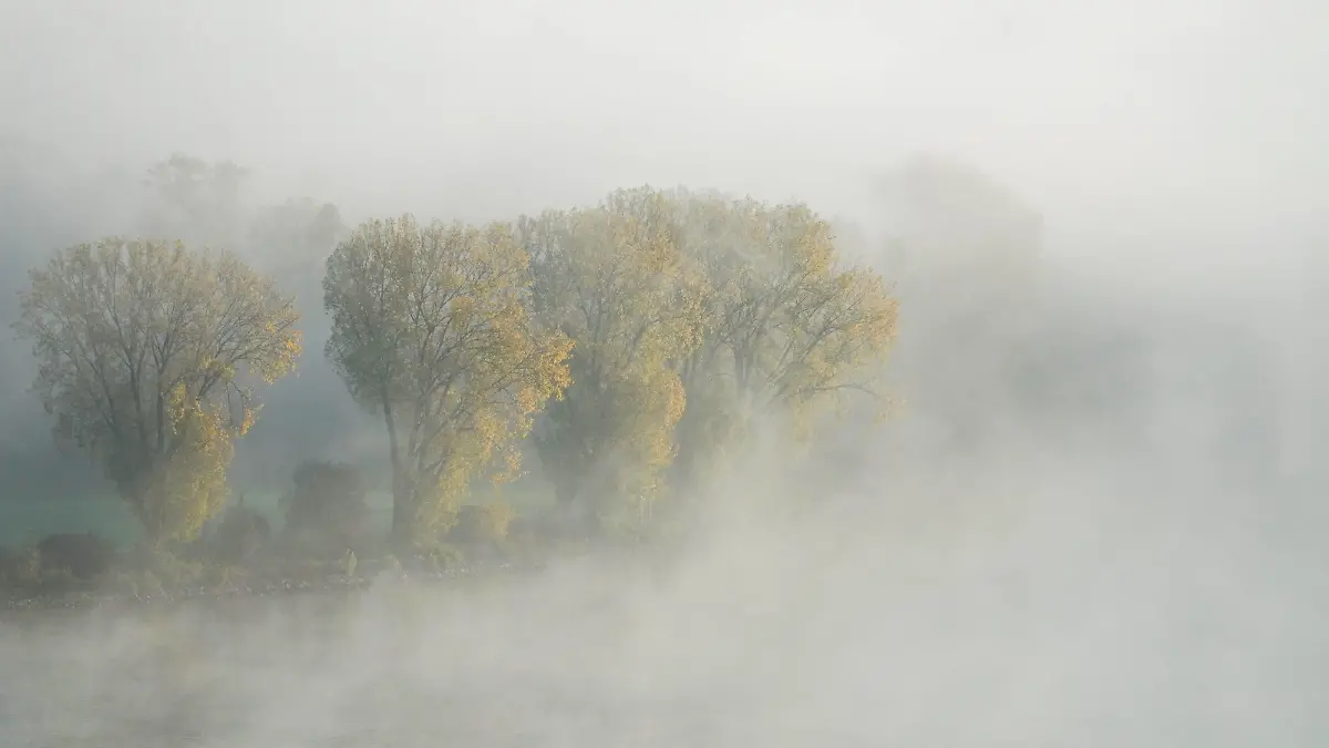 October 23, 2024, Mainz, Rhineland Palatinate, Germany: Trees in autumn colors are seen in the mist on the banks of the Rhine River in Mainz, Germany, at dawn. Mainz Germany - ZUMAb332 20241023_zip_b332_025 Copyright: xMatiasxBasualdox