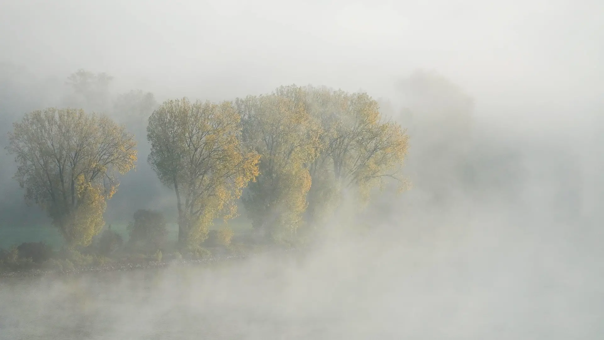 October 23, 2024, Mainz, Rhineland Palatinate, Germany: Trees in autumn colors are seen in the mist on the banks of the Rhine River in Mainz, Germany, at dawn. Mainz Germany - ZUMAb332 20241023_zip_b332_025 Copyright: xMatiasxBasualdox
