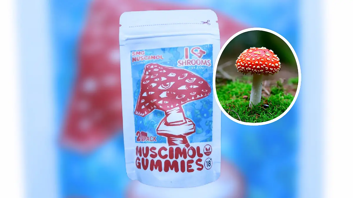 Packung Gummibärchen mit Fliegenpilz-Gift