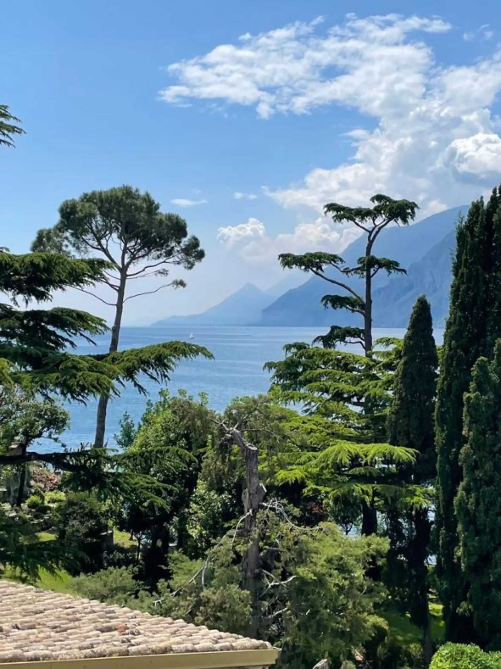 Das Wasser ist kristallklar und der Blick auf den See von fast allen Orten wunderschön. Wie hier aus Malcesine.