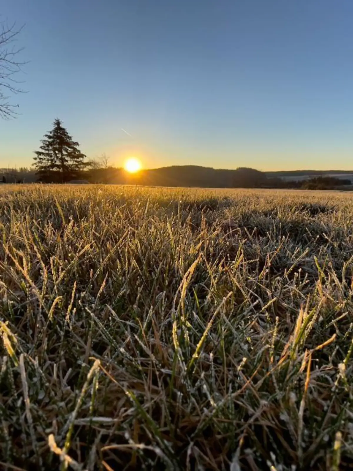 Sonnenaufgang Spätwinter Frühling Wetter Sonne