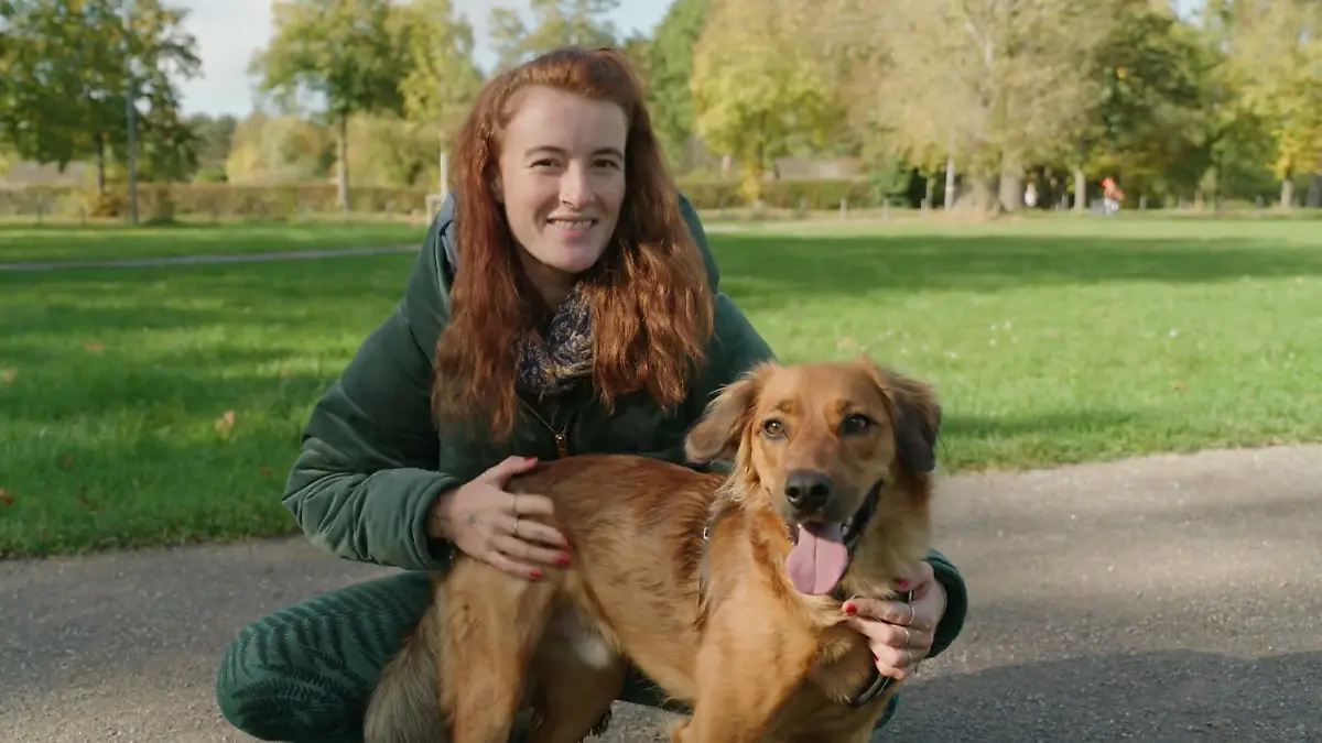 Warum sich Hund und Herrchen so gleich sind WAU, sind die ähnlich
