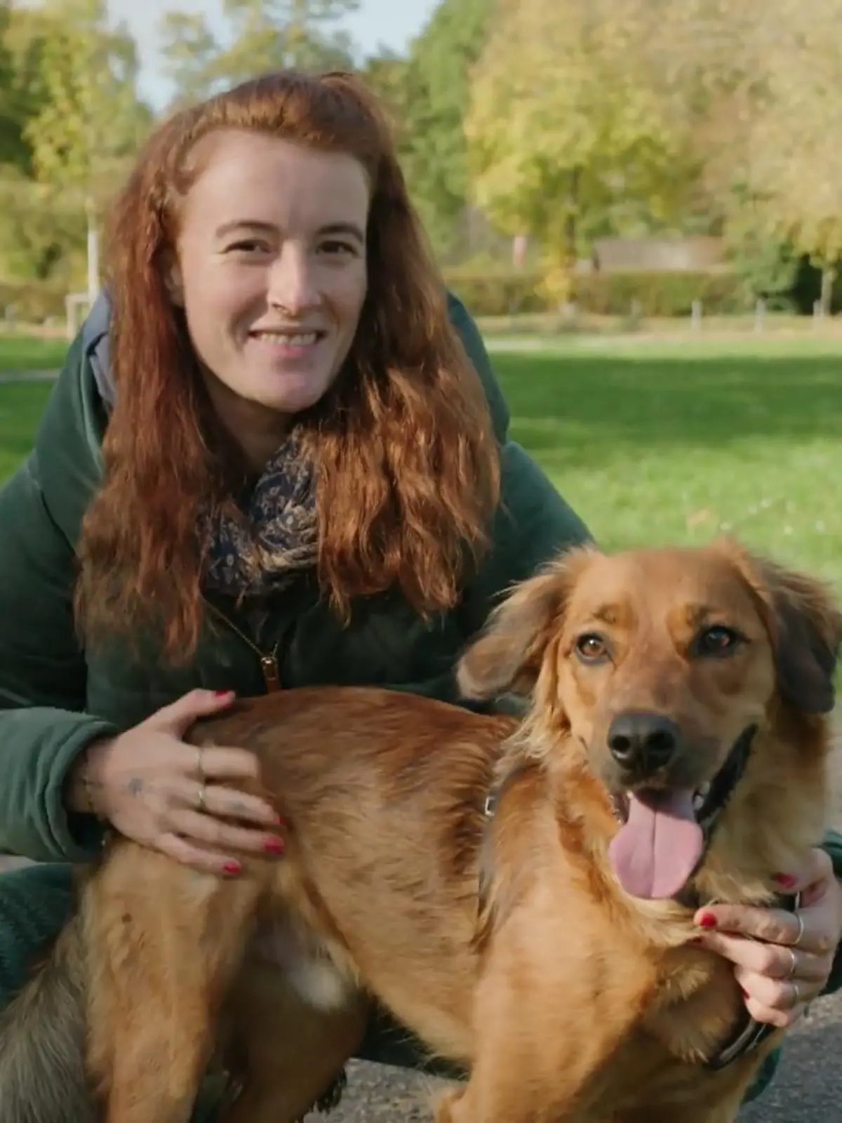 Bild zu: "Warum sich Hund und Herrchen so gleich sind"
