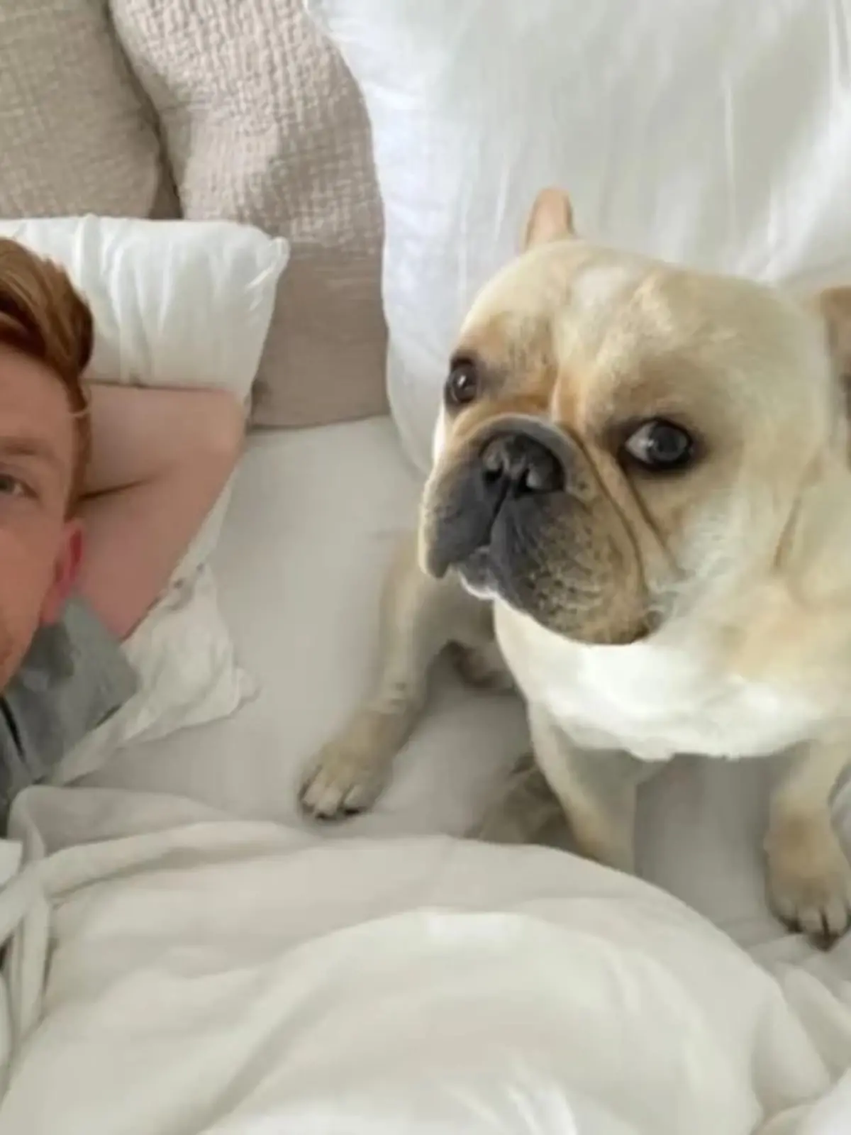 Auf dem Bild sind Michael C. und seine Hündin Ash zu sehen, wie sie im Bett liegen. Beide schauen in die Kamera.