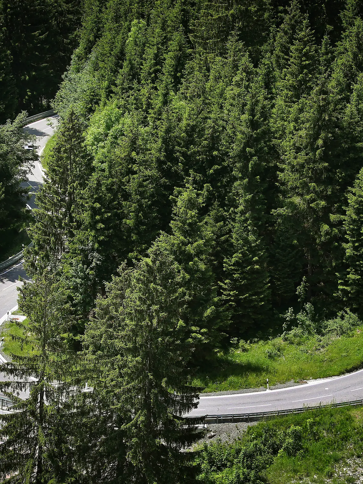 Bild zu: "Motorradfahrer stürzt nach Kollision mit Auto 25 Meter tief"