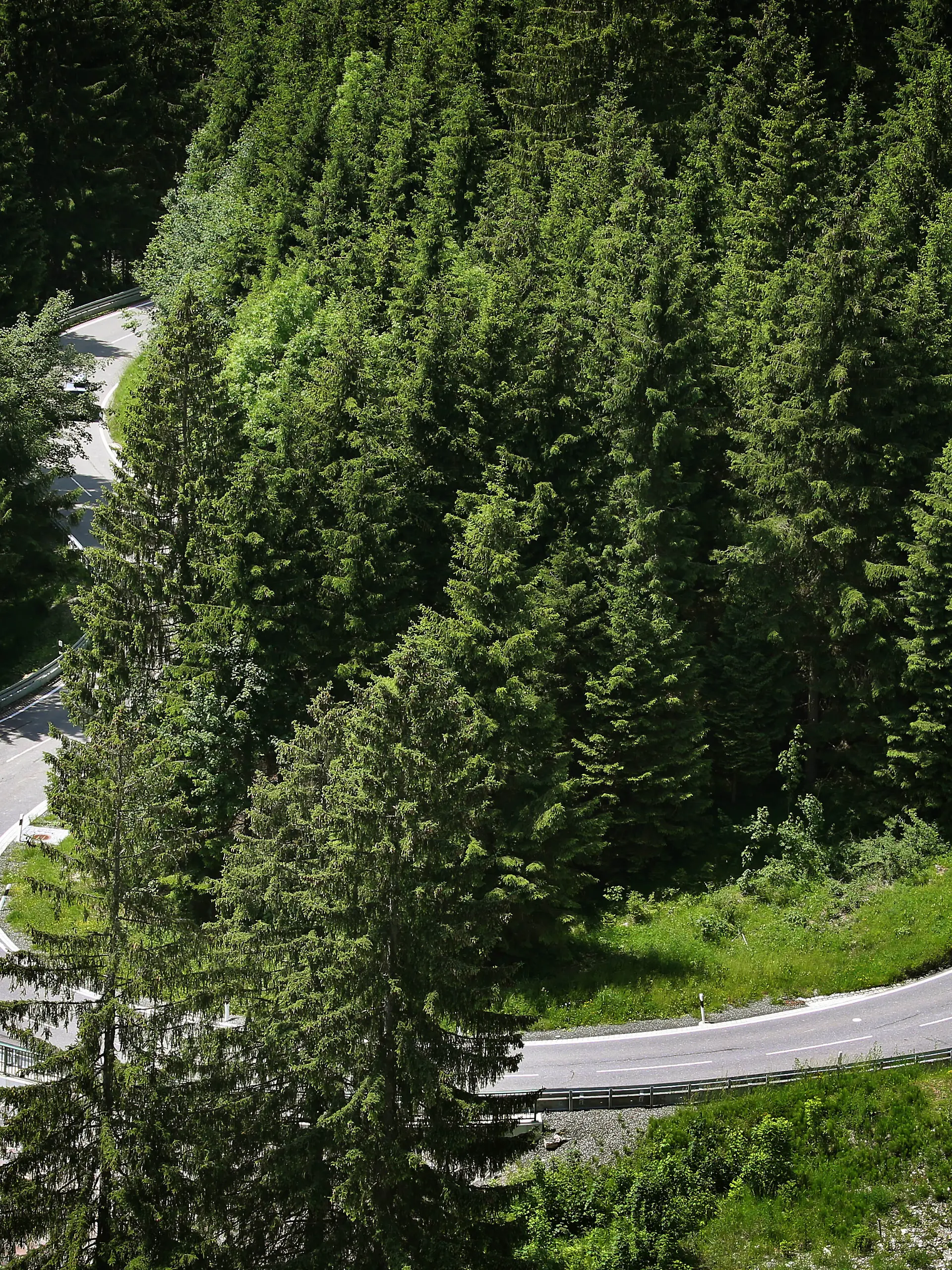 Bild zu: "Motorradfahrer stürzt nach Kollision mit Auto 25 Meter tief"